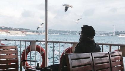 A股证券代码：688385 证券简称：复旦微电 公告编号：2024-049 H股证券代码: 01385 证券简称：上海复旦