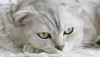 局势彻底失控！美航母被击穿，杜鲁门号被迫报废？美军火速发文回应