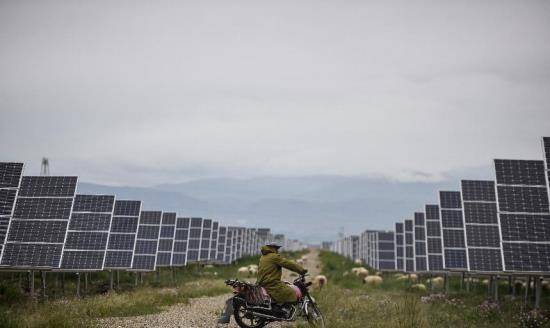 计划想建电厂，却最终成了牧场！中国工程界的有趣“乌龙”事件
