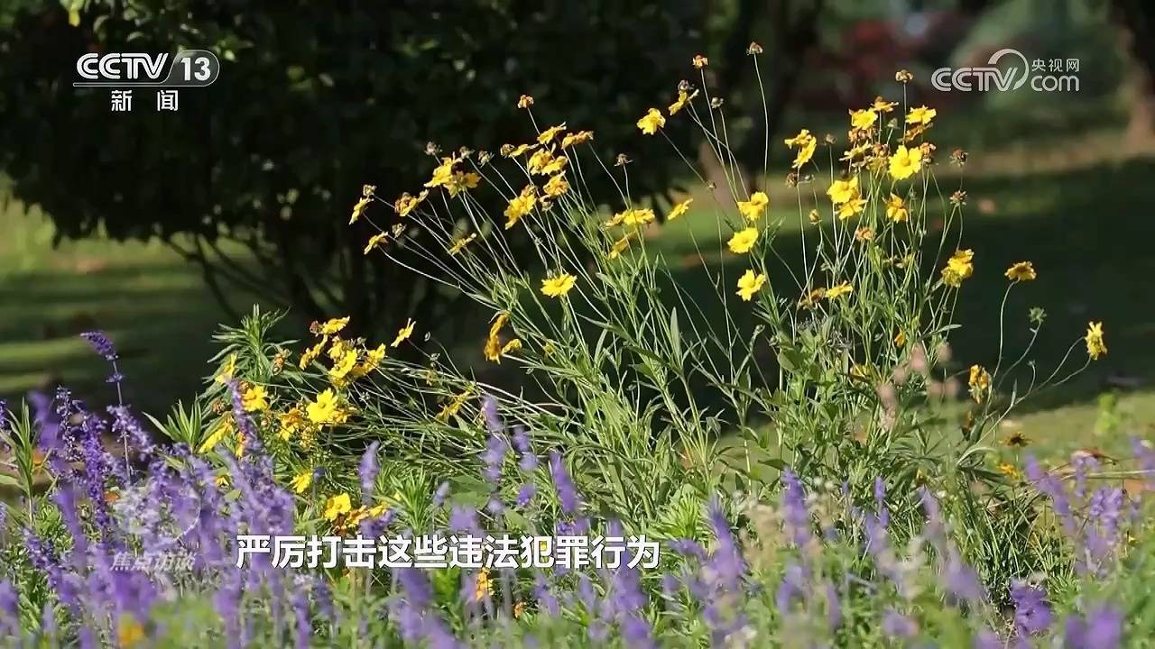 租号、买号、代练……谁在帮孩子们绕过“防沉迷”？