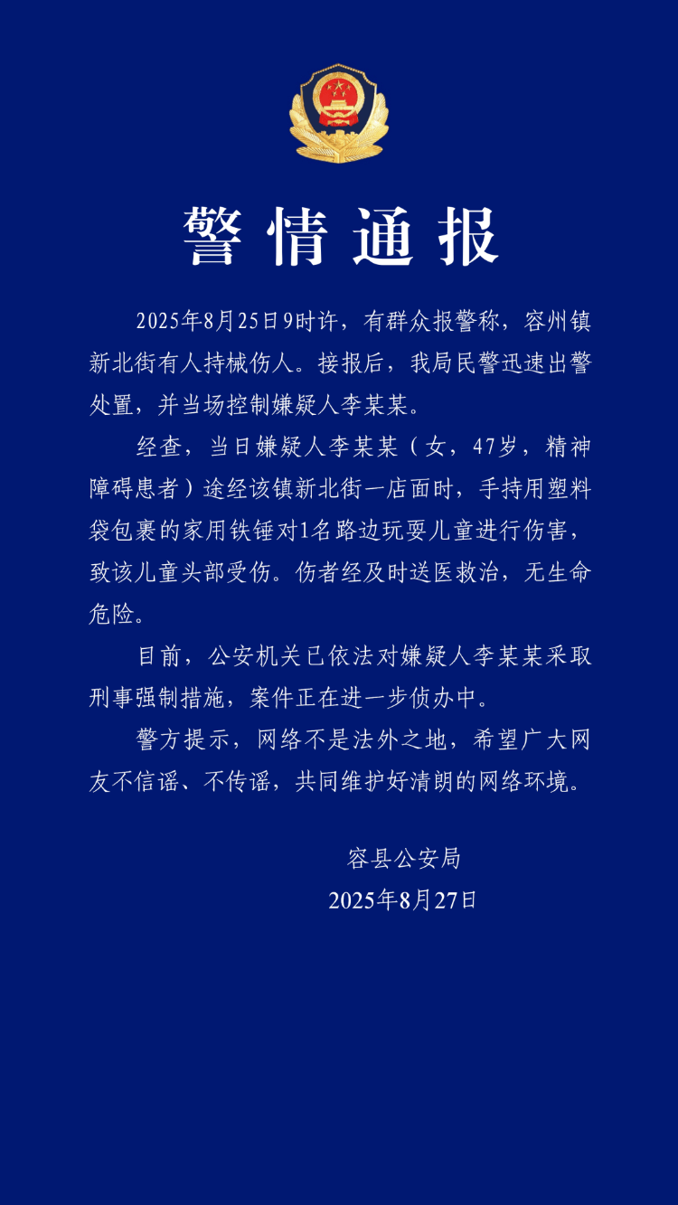 广西容县通报“女子用铁锤砸伤男孩头部”：嫌疑人为精神障碍患者，已采取刑事强制措施