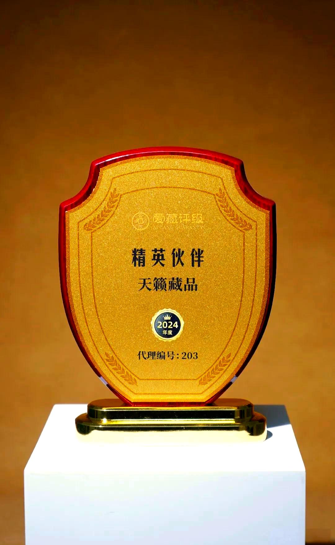 数字货币代理(数字货币代理平台怎么做)